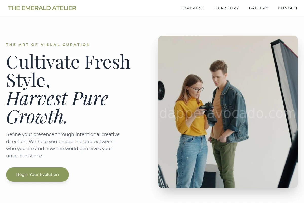Seed Creative Direction